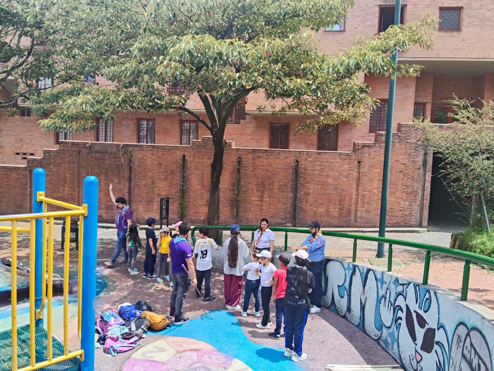 Foto scout 11